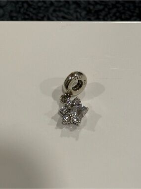 Pandora Paw Print Charm